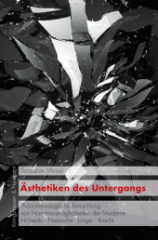 Ästhetiken des Untergangs