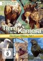 Tiere vor der Kamera - Abenteuer Wildnis - Teil 1