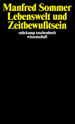 Lebenswelt und Zeitbewußtsein