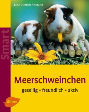 Meerschweinchen