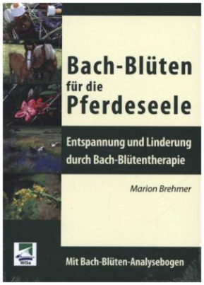 Bach-Blüten für die Pferdeseele