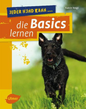 Jeder Hund kann die Basics lernen