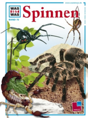 Spinnen