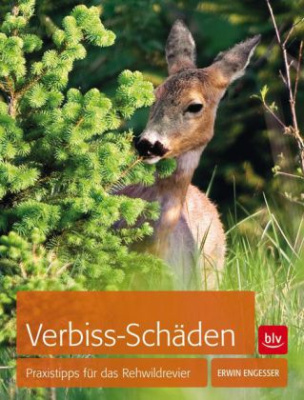 Verbiss-Schäden