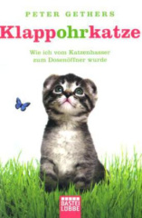 Klappohrkatze