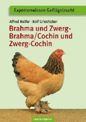 Brahma und Zwerg-Brahma / Cochin und Zwerg-Cochin