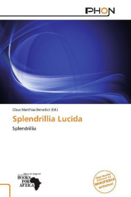 Splendrillia Lucida